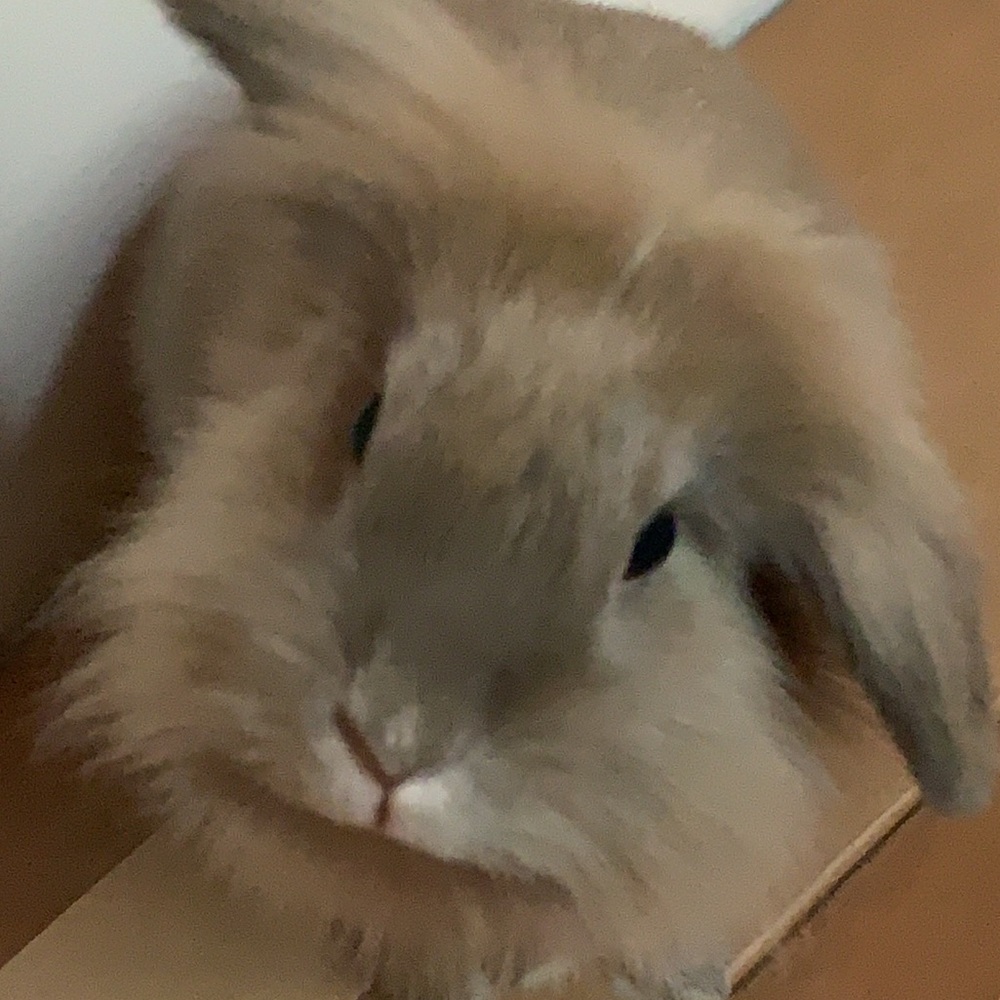 Meet your Posher, Sandra